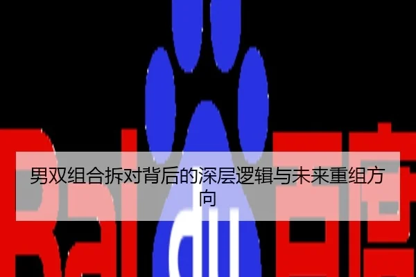 男双组合拆对背后的深层逻辑与未来重组方向