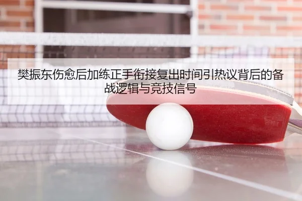 樊振东伤愈后加练正手衔接复出时间引热议背后的备战逻辑与竞技信号