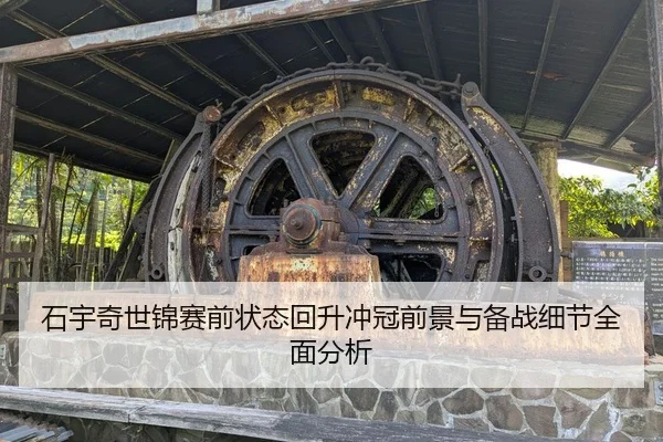 石宇奇世锦赛前状态回升冲冠前景与备战细节全面分析
